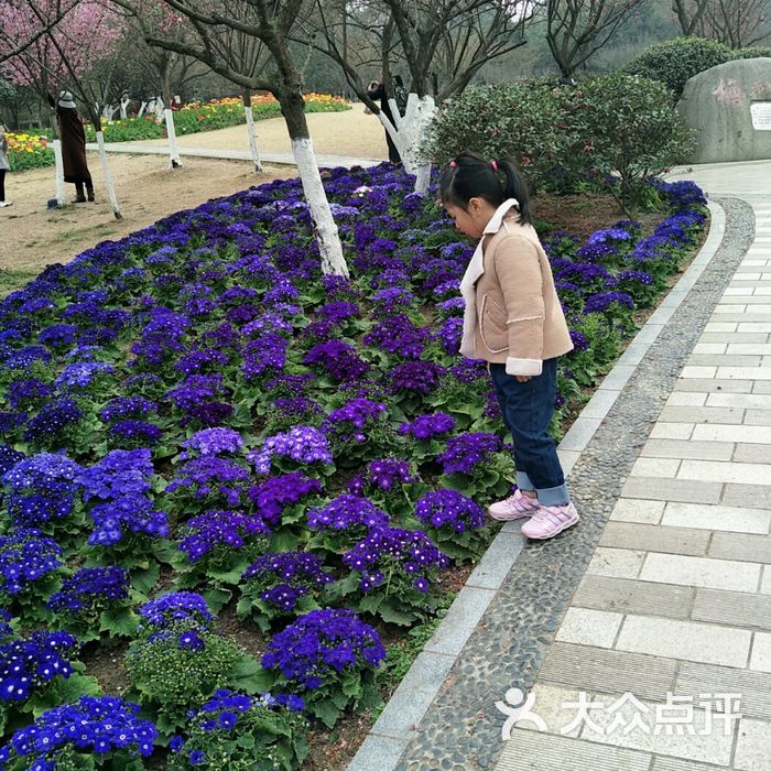 成都植物園