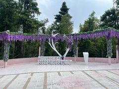 -长沙黑麋峰国家森林公园