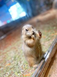 点击看大图 -宝燕乐园(闵行旗舰店)