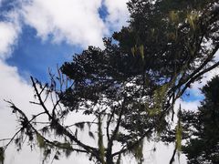 -措木及日景区