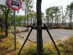 -上海浦江郊野公园-2号停车场