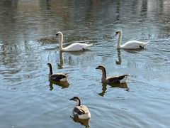 -石家庄市动物园