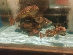 -阿伟海鲜楼·福建菜(延寿店)