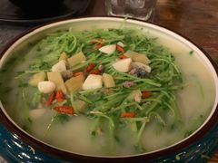 上汤豆苗-春风十里烧烤音乐吧(实力乐队驻唱三元里店)