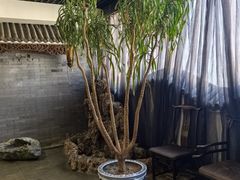 -保定会馆(裕华店)