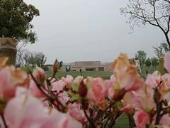 -盘龙城国家考古遗址公园