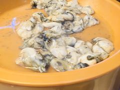 -龍歌自助小火锅(李沧丽达店)