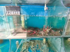 -东极岛海鲜