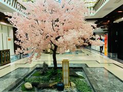 -添赐温泉馆(上南路店)