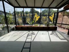 -TFC 纯泰拳馆MuayThai