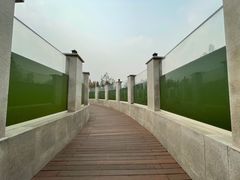 -眉山湿地公园(东坡区)