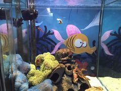 -太平洋海底世界