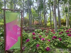 -仁和公园(顺义区)