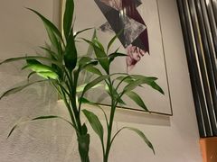 -峨嵋一派