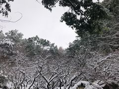 -团城山公园