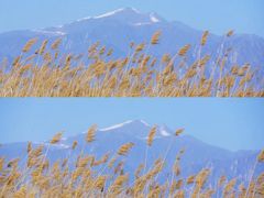 -野鸭湖国家湿地公园
