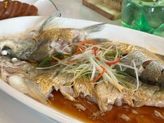 清蒸白丝鱼-状元楼(金溪路店)