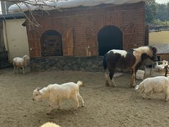 -HERRE·FARM 赫尔露营农场·团建聚会包场