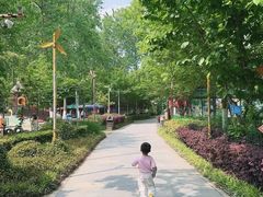 -合肥滨湖国家森林公园