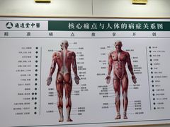 -通透堂中医·精准推拿(万科云城分院)