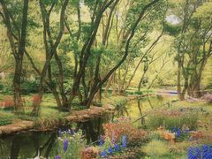 -上海共青森林公园