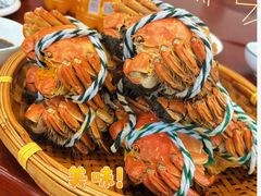 -蟹天蟹地农家菜·阳澄湖大闸蟹(浅水湾店)