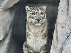 -青藏高原野生动物园