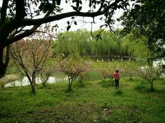 -昆山城市生态森林公园