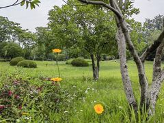 -杭州师范大学(下沙校区)