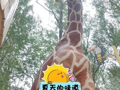 -南戴河国际娱乐中心