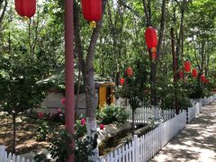 -草根堂农场