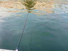 -DGE季风钓虾营地·团建·聚会