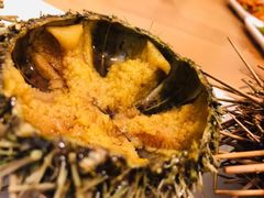 -海胆小馆(东北水饺·春柳店)