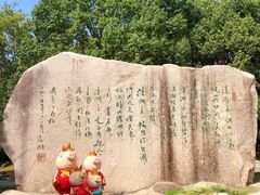 -溱湖国家湿地公园