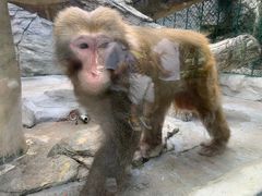 -泉州海丝野生动物世界