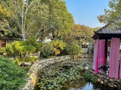 -观唐（国际）度假村温泉