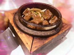-沪碟·精菜坊(闵行店)
