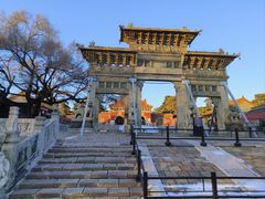 -北陵公园
