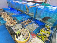 -老家黄墩小错鸡·活海鲜