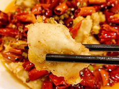 -肆月河豚·新淮扬(金融街店)