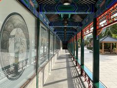 -天津大悲禅院
