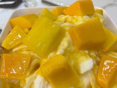 -杨小贤芒果绵绵冰(南门口店)