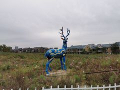 -日照海滨国家森林公园