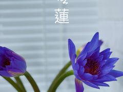 -盒马鲜生(领丰汇店)