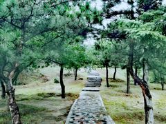 -通辽森林公园