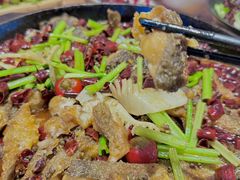 -老板恋上鱼(恒隆广场店)