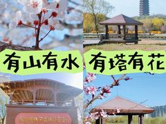 -永定河休闲森林公园