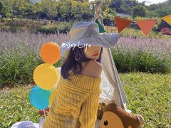 -王借岗森林公园