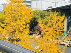 -杭州九堡客运中心