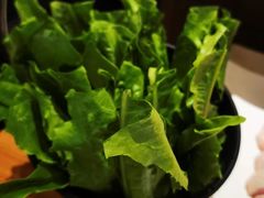 -东椰·海南椰子鸡火锅(朝阳门店)